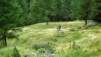 Meidpass_2013_040