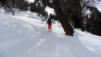 Metailler_13_026