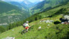 Mille_2013_003