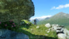 Mille_2013_004