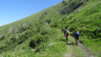 Mille_2013_006