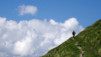 Mille_2013_015