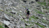 Mille_2013_023