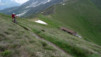 Mille_2013_031