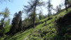 Mont-Chemin_12_006