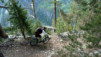 Mont-Chemin_12_012