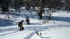 Mont-Noble_017.jpg