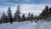 Mont-Noble_10_018