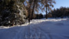 Mont-Noble_14_006