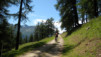 Mont_Arpille_003.jpg