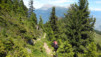 Mont_Arpille_026.jpg