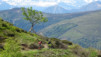 Monte_Bar_027