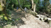 Forêt de feuillus, vieilles pierres et terre meuble : les chemins du Tessin résumés en une seule image. Monte_Lema_015