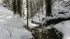 Montoz09_01.jpg