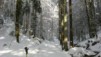 Montoz09_02.jpg