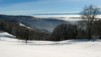 Montoz09_09.jpg