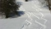 Montoz09_11.jpg
