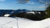 Montoz09_15.jpg