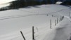 Montoz09_16.jpg