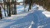 Montoz09_17.jpg