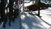 Montoz09_18.jpg