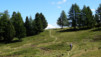 Moosalp_012