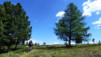 Moosalp_014