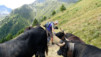 Moosalp_020