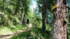 Moosalp_021
