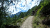 Moosalp_023