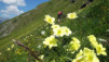 Mt-Brule_011.jpg