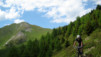 Mt-Brule_039.jpg