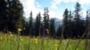 Mt-Brule_042.jpg