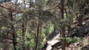 Mt-Chemin_010.jpg