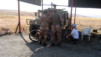 Mt_Nebo_Dead_Sea_022.jpg