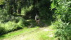 Mtgne_Granges_06_07.jpg
