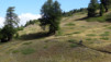 Nanztal_12_007