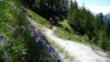 Niwenalp_Torrentalp_0002