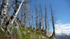 Niwenalp_Torrentalp_0017