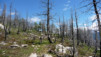 Niwenalp_Torrentalp_0018