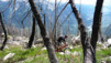 Niwenalp_Torrentalp_0019