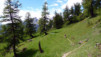 Niwenalp_Torrentalp_0020
