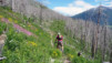 Niwenalp_Torrentalp_0030