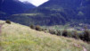 Niwenalp_Torrentalp_0033