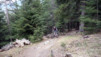 Oberems_Ergisch_09_003.jpg