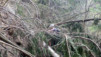 Oberems_Ergisch_09_027.jpg