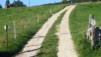 Obstacles_06_03.jpg