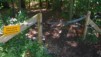 Obstacles_06_04.jpg