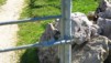 Obstacles_06_06.jpg