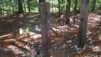 Obstacles_06_13.jpg